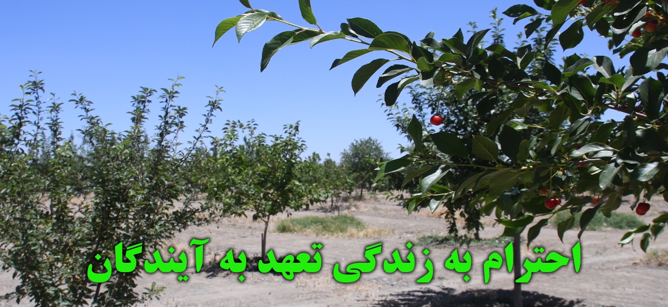 شعار HSEC
